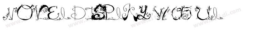 Novel Display W05 Ul字体转换